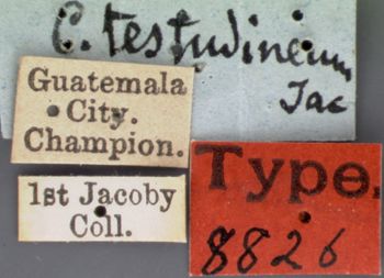 Media type: image; Entomology 8826   Aspect: labels